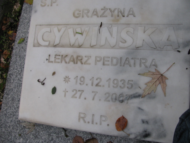 Zdjęcie grobu