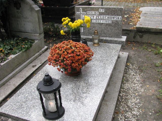 Grób Ryszarda Żelechowska