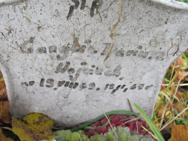 Zdjęcie grobu