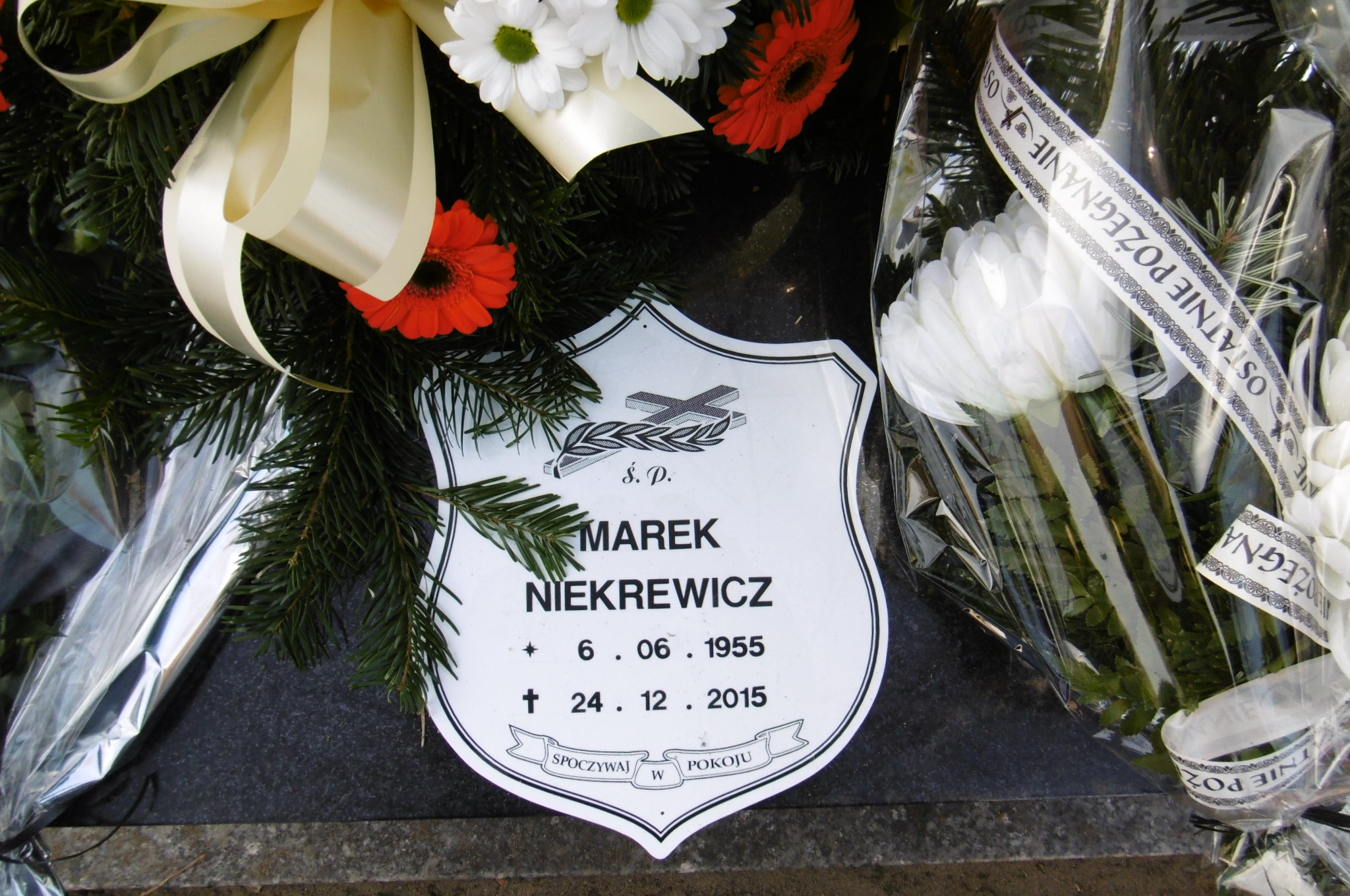 Grób Marek  Niekrewicz