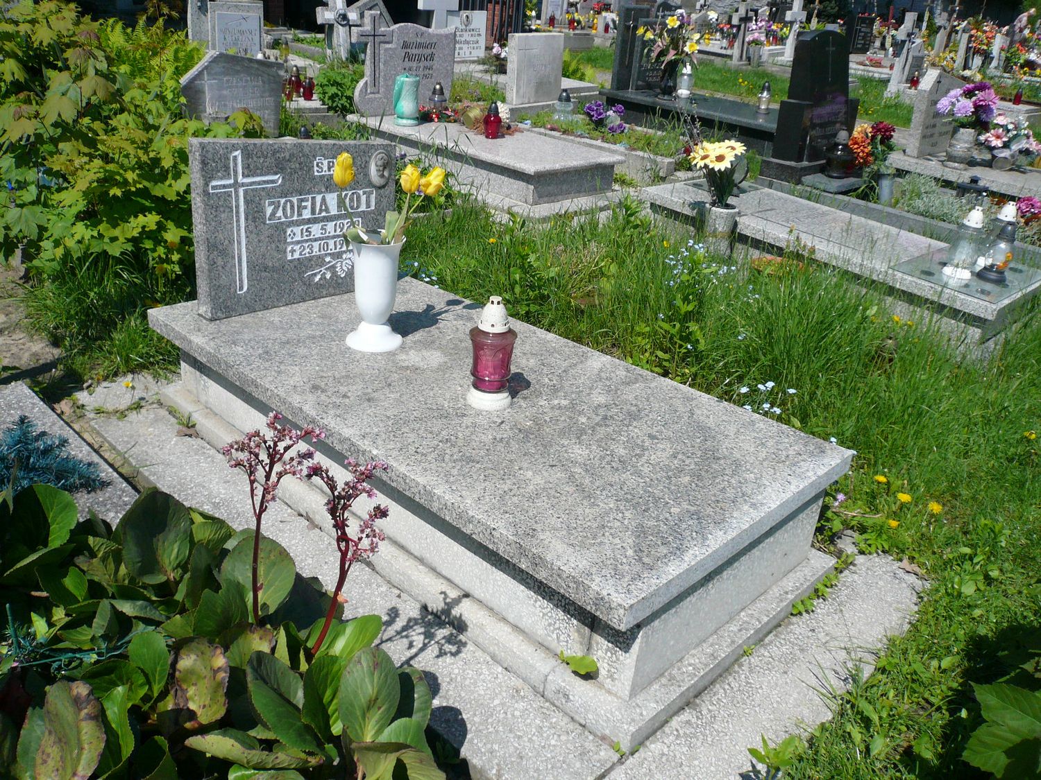 Zdjęcie grobu