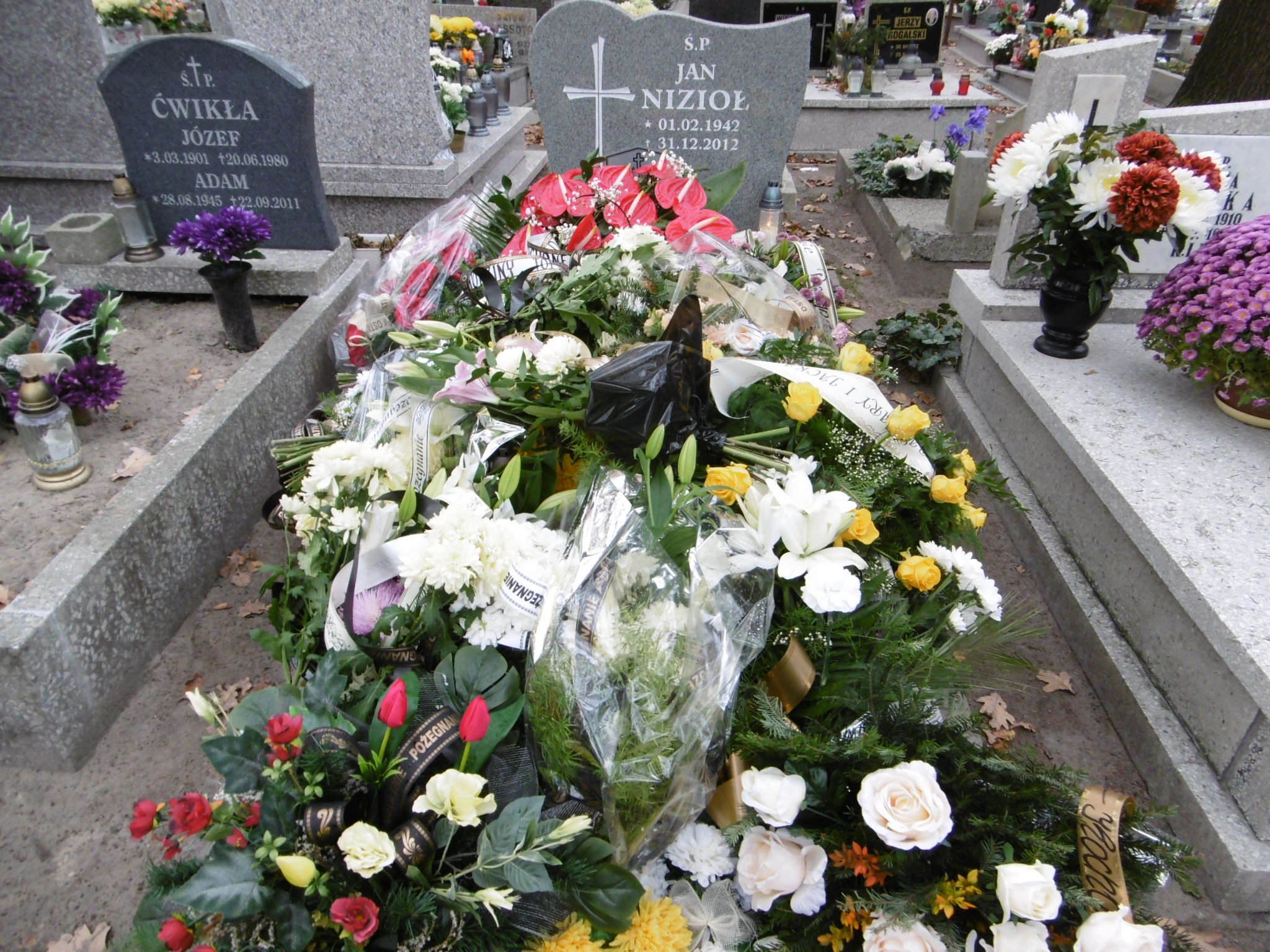 Grób Aniela Nizioł