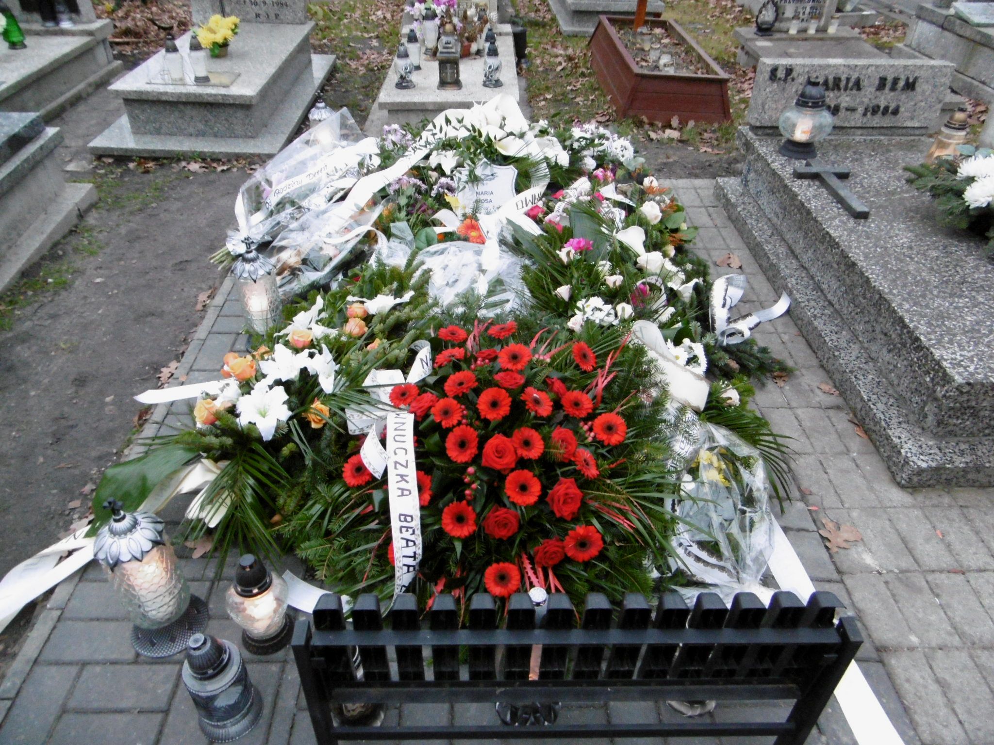 Grób Edward  Rosa