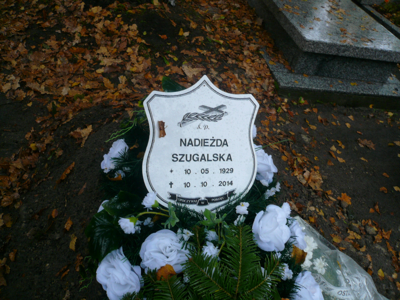 Zdjęcie grobu