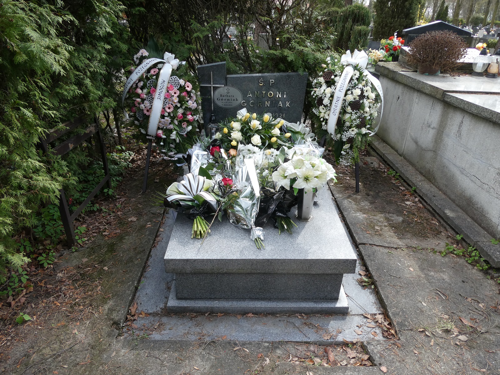 Grób Barbara Górniak