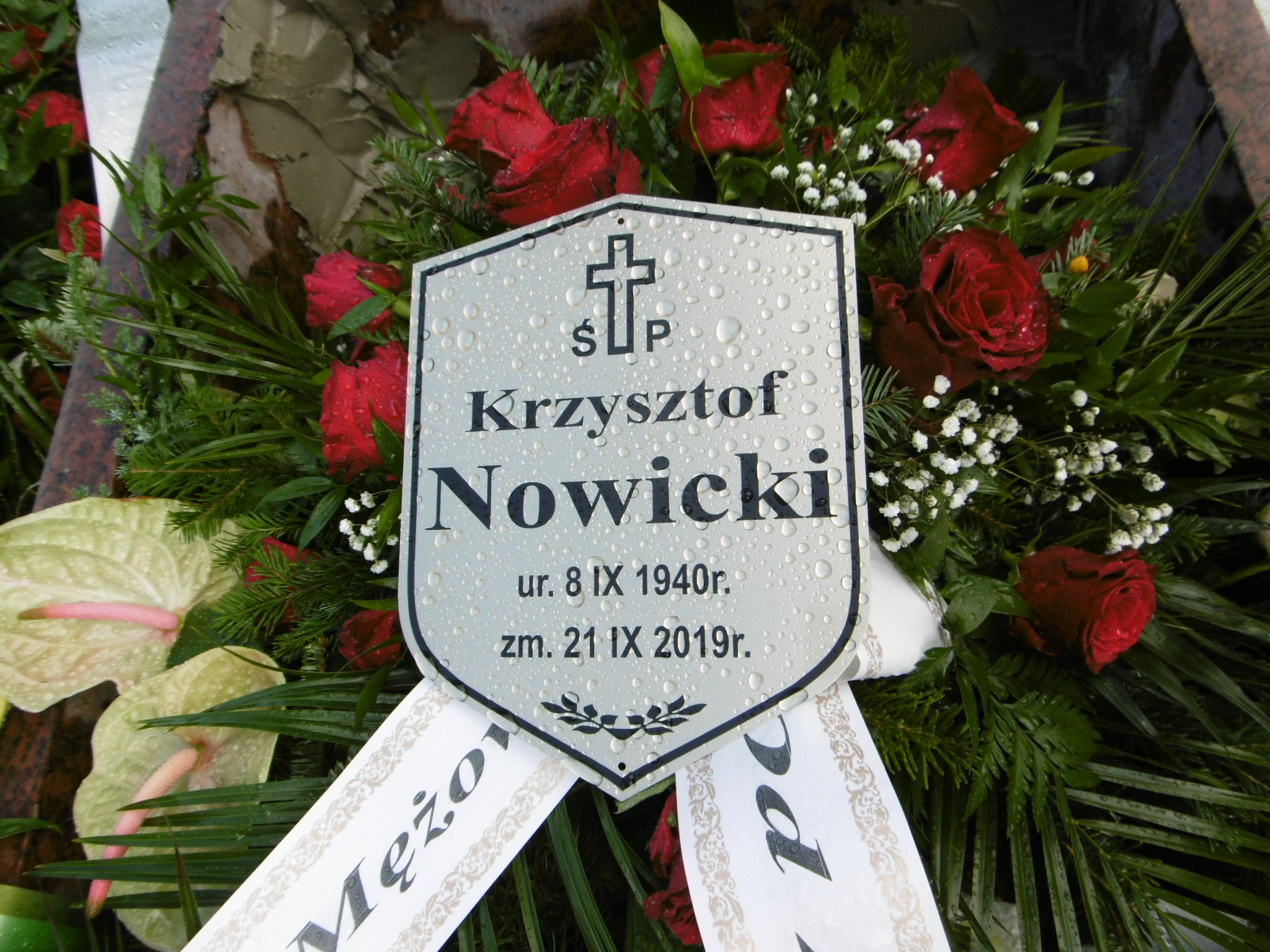 Grób Zenon Nowicki
