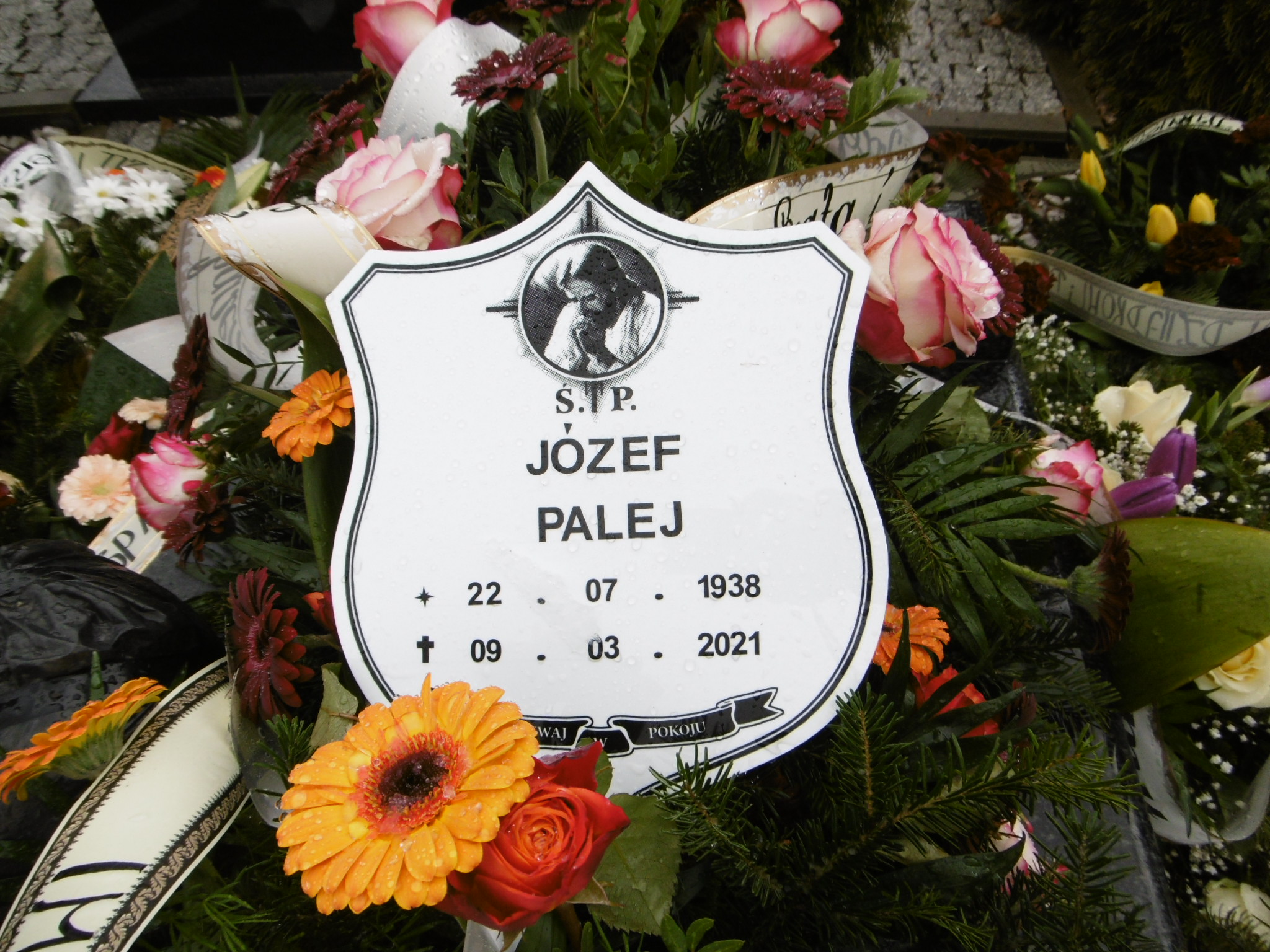 Grób Józef Palej