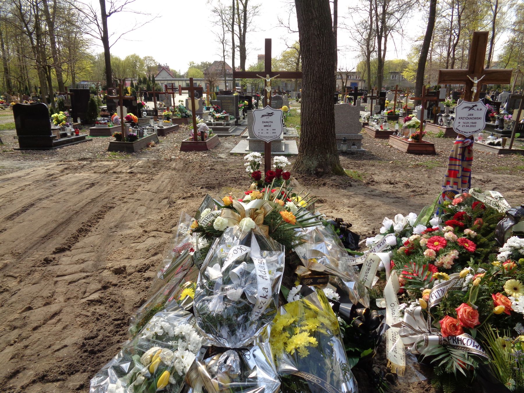 Grób Danuta Mróz