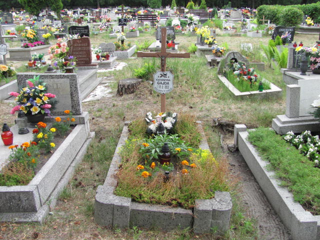 Grób Karol Salbert